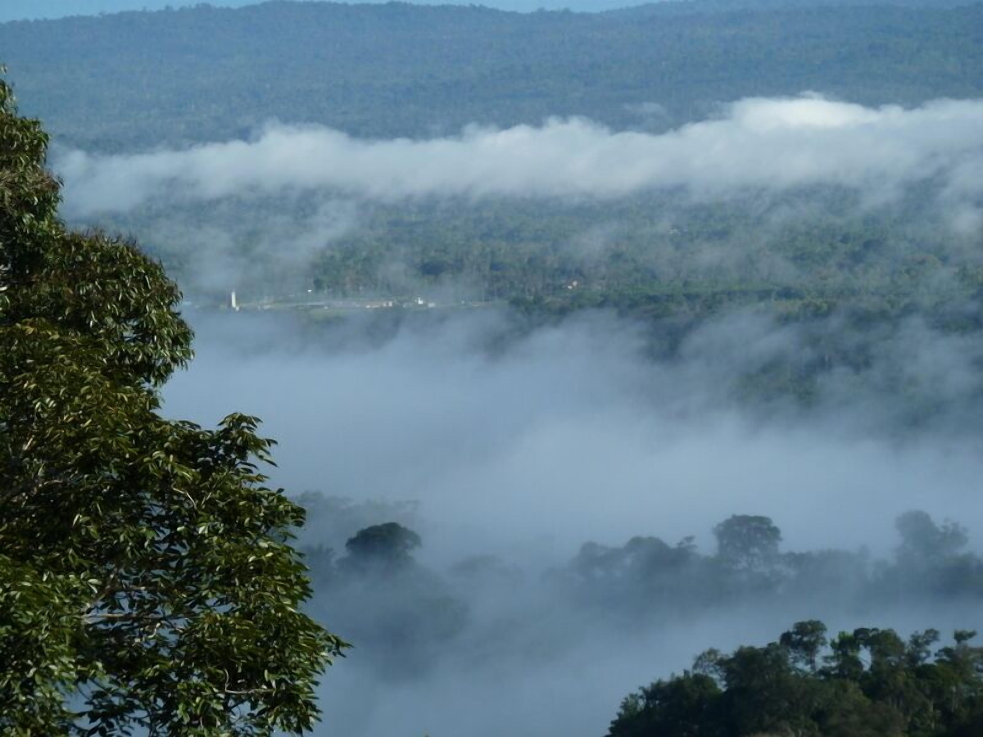 Vista de un área boscosa con un paisaje cubierto de niebla y una estructura distante.