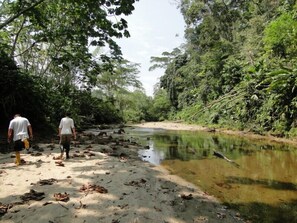 Orilla de río con dos personas caminando, rodeado de vegetación densa.