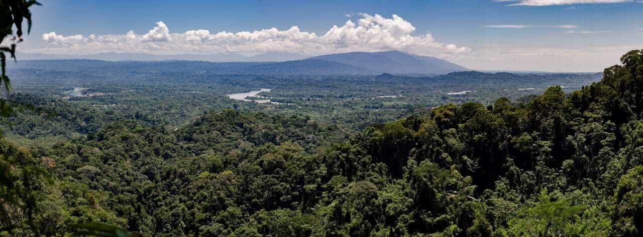 Vista panoràmica d'un paisatge verd i frondós, amb un bosc dens i serralades llunyanes.