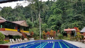 Outdoor pool, open 7:30 AM to 8:00 PM, pool umbrellas, sun loungers - Grand Selva Lodge & Tours (Ahuano)