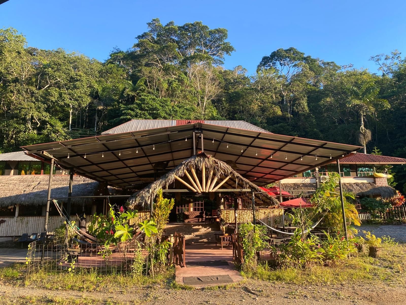 A covered outdoor area with a thatched roof, surrounded by lush greenery and trees.