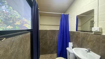 A bathroom with a toilet, sink, and shower curtain.