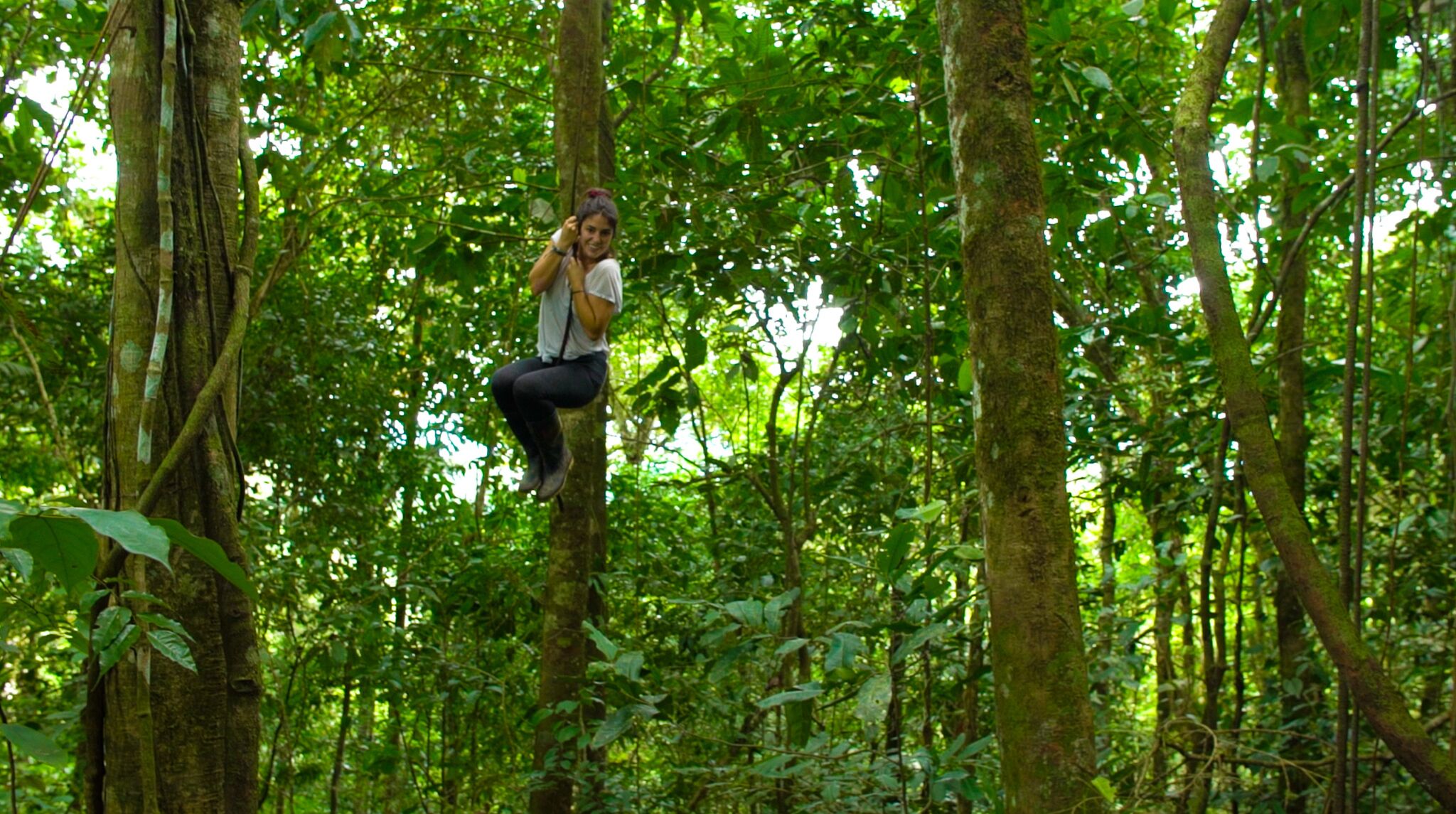 Una persona sentada en una rama de árbol en un bosque frondoso.