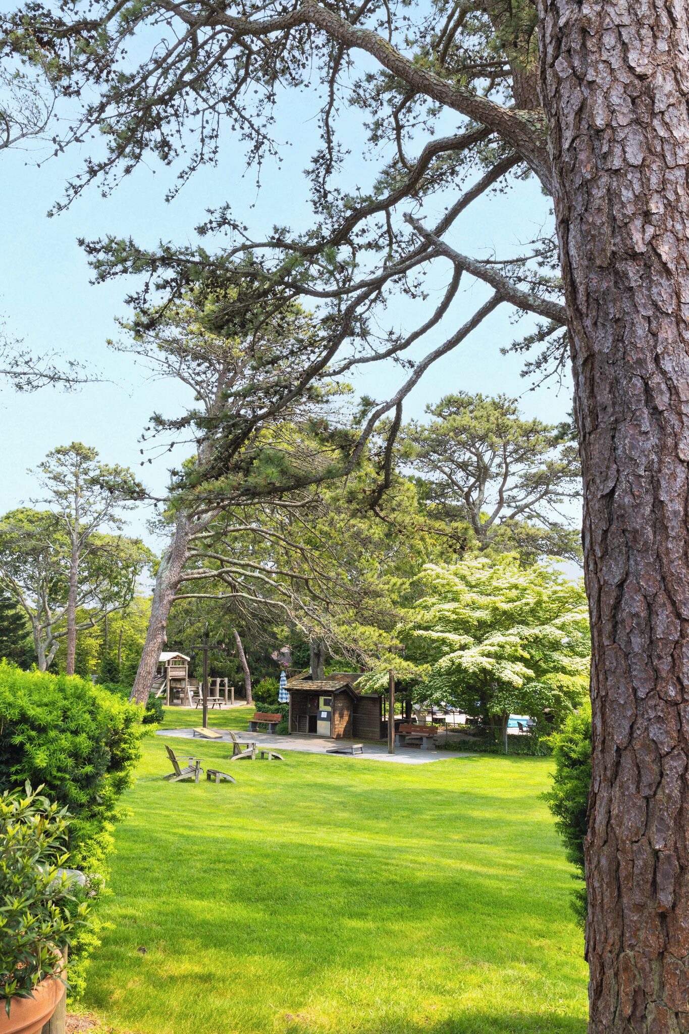 A well-maintained garden with a wooden structure, benches, and a clear sky.