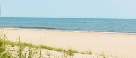 A beach with sand and sparse vegetation.