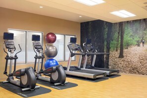 A gym with treadmills, elliptical machines, and exercise balls. - Residence Inn by Marriott Boston Burlington (Burlington)