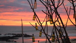 A beach scene with bottles hanging from branches against a sunset backdrop. - Hostal Galapagos by Bar de Beto (Puerto Villamil)