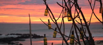 Hostal Galapagos by Bar de Beto