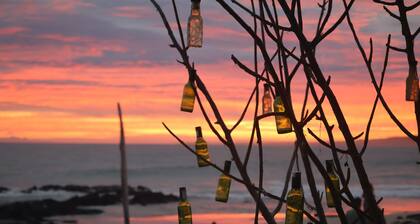 Hostal Galapagos by Bar de Beto