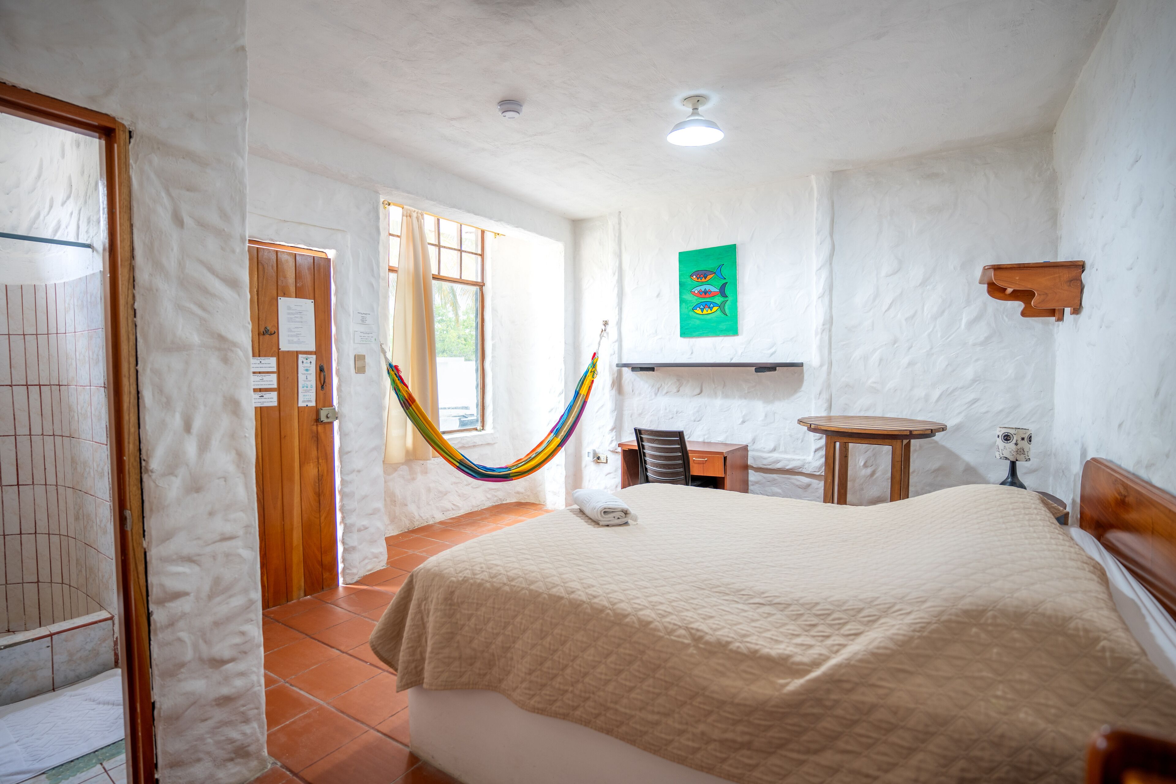 Foto - Hostal Galapagos by Bar de Beto