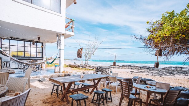 An outdoor seating area with tables and chairs, a hammock, and a view of the beach and ocean. - Hostal Galapagos by Bar de Beto (Puerto Villamil)