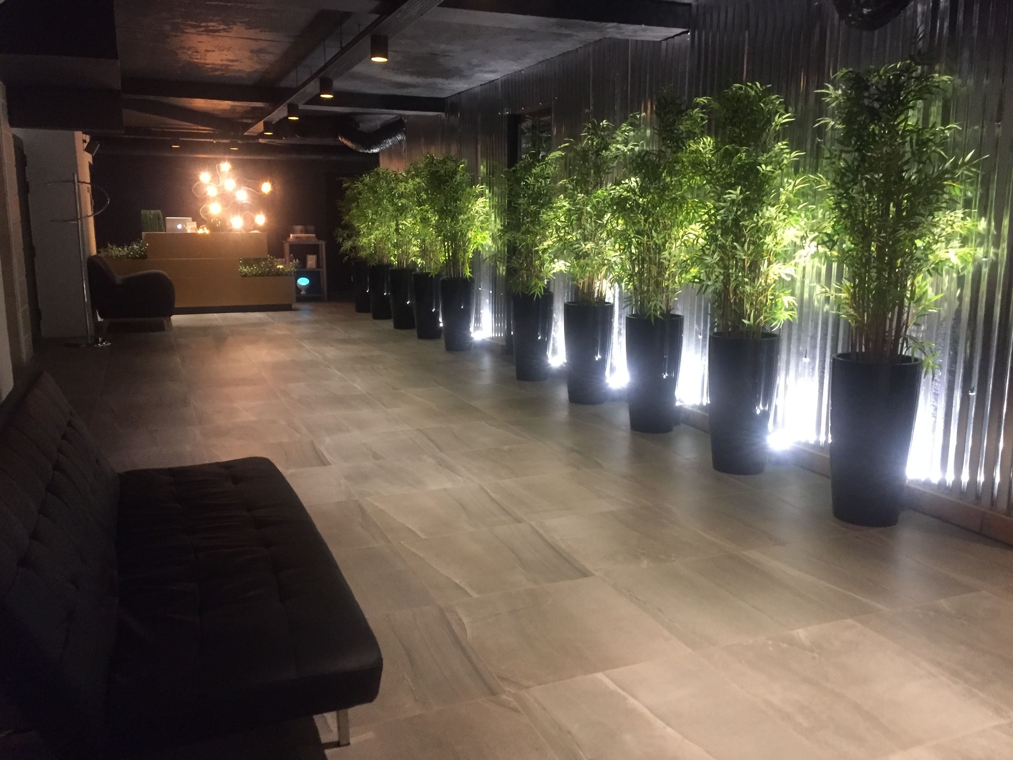 body treatments, body scrubs, facials, manicures and pedicures