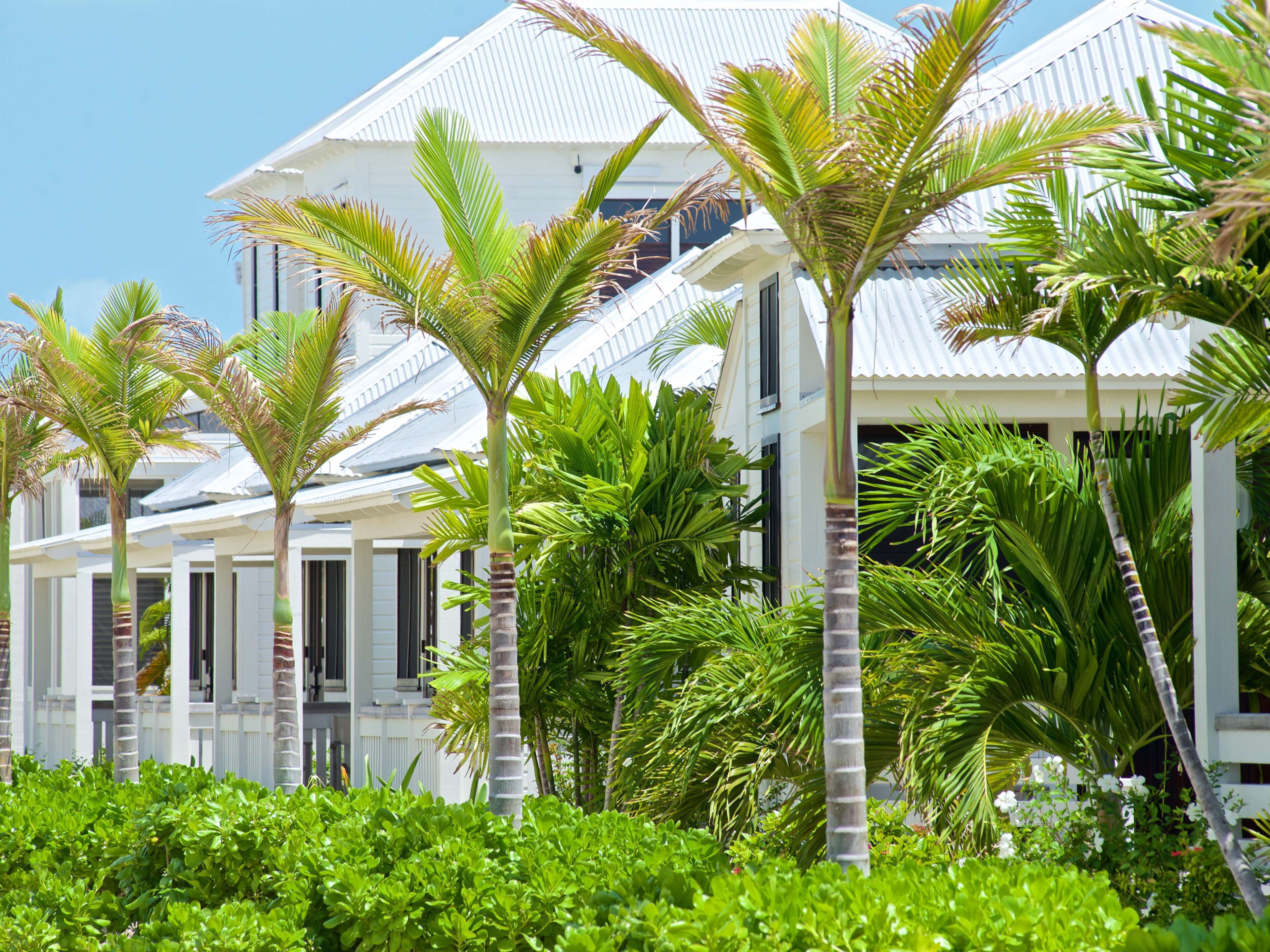 A row of white buildings with a modern design, surrounded by lush green foliage and palm trees.