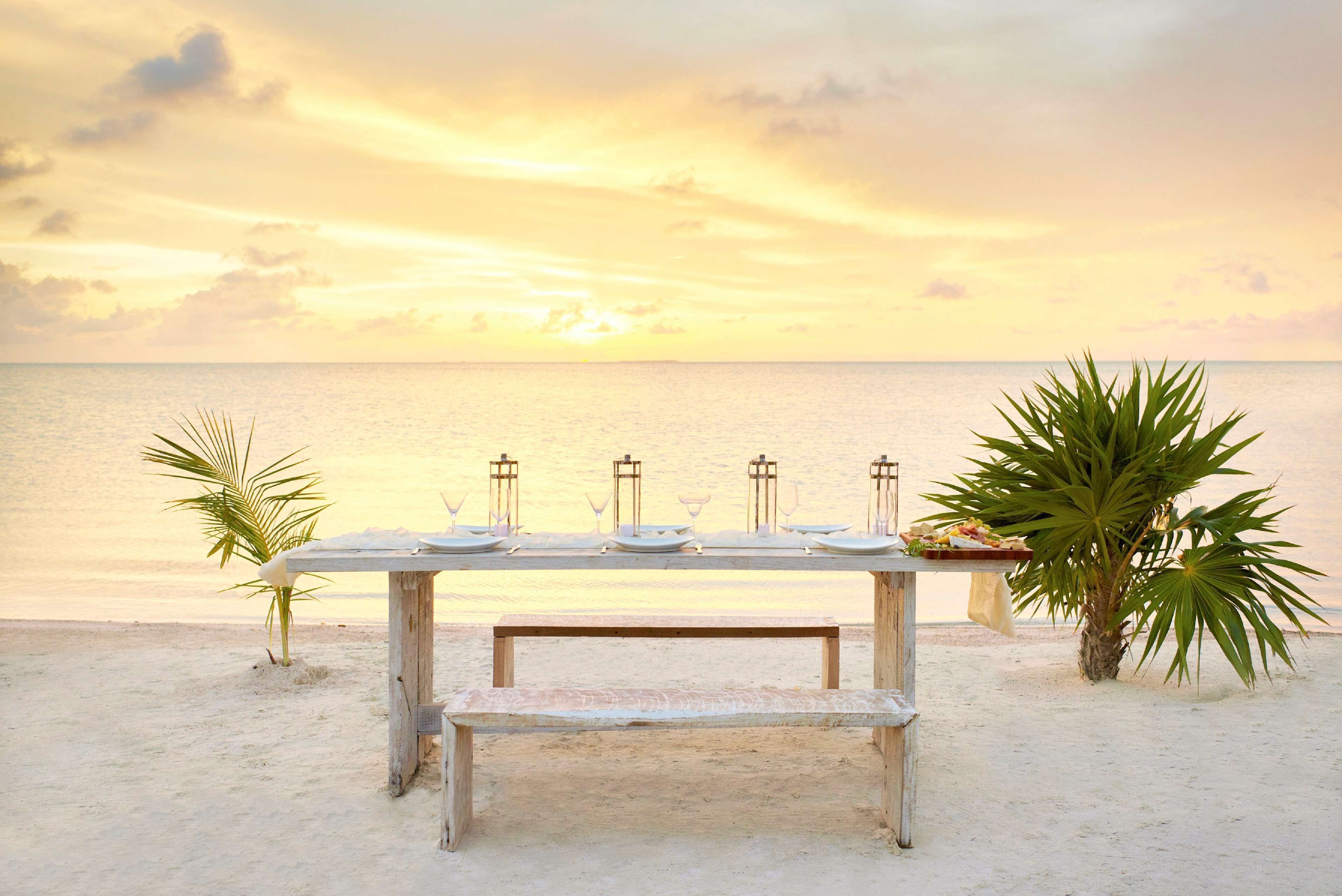 Une table dressée sur la plage, avec des assiettes, des verres et des couverts, des palmiers et un coucher de soleil en arrière-plan.