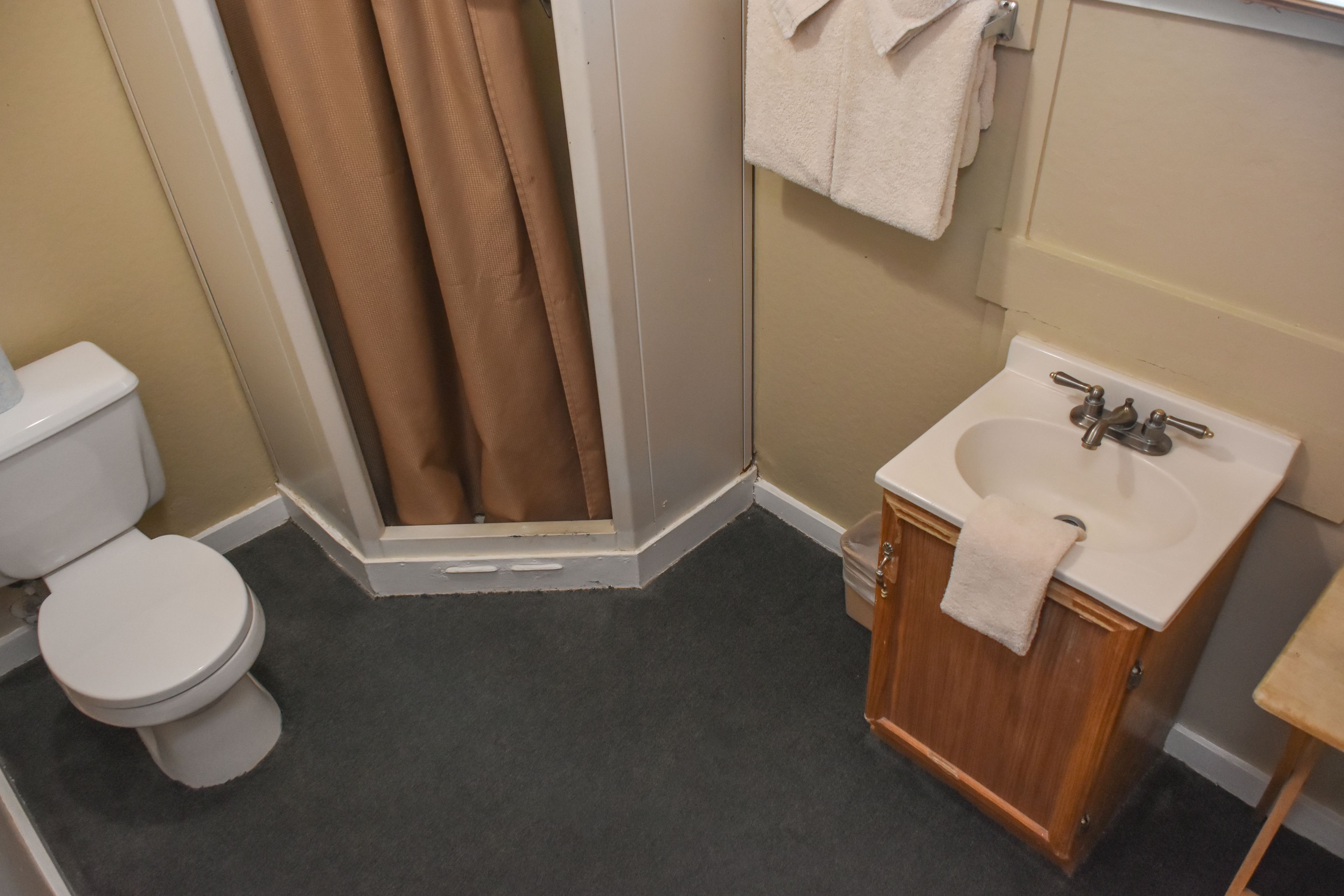 A bathroom with a toilet, shower, sink, and wooden cabinet.