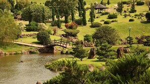 Un jardin paisible avec un étang, un pont en bois et différentes espèces d’arbres et d’arbustes.