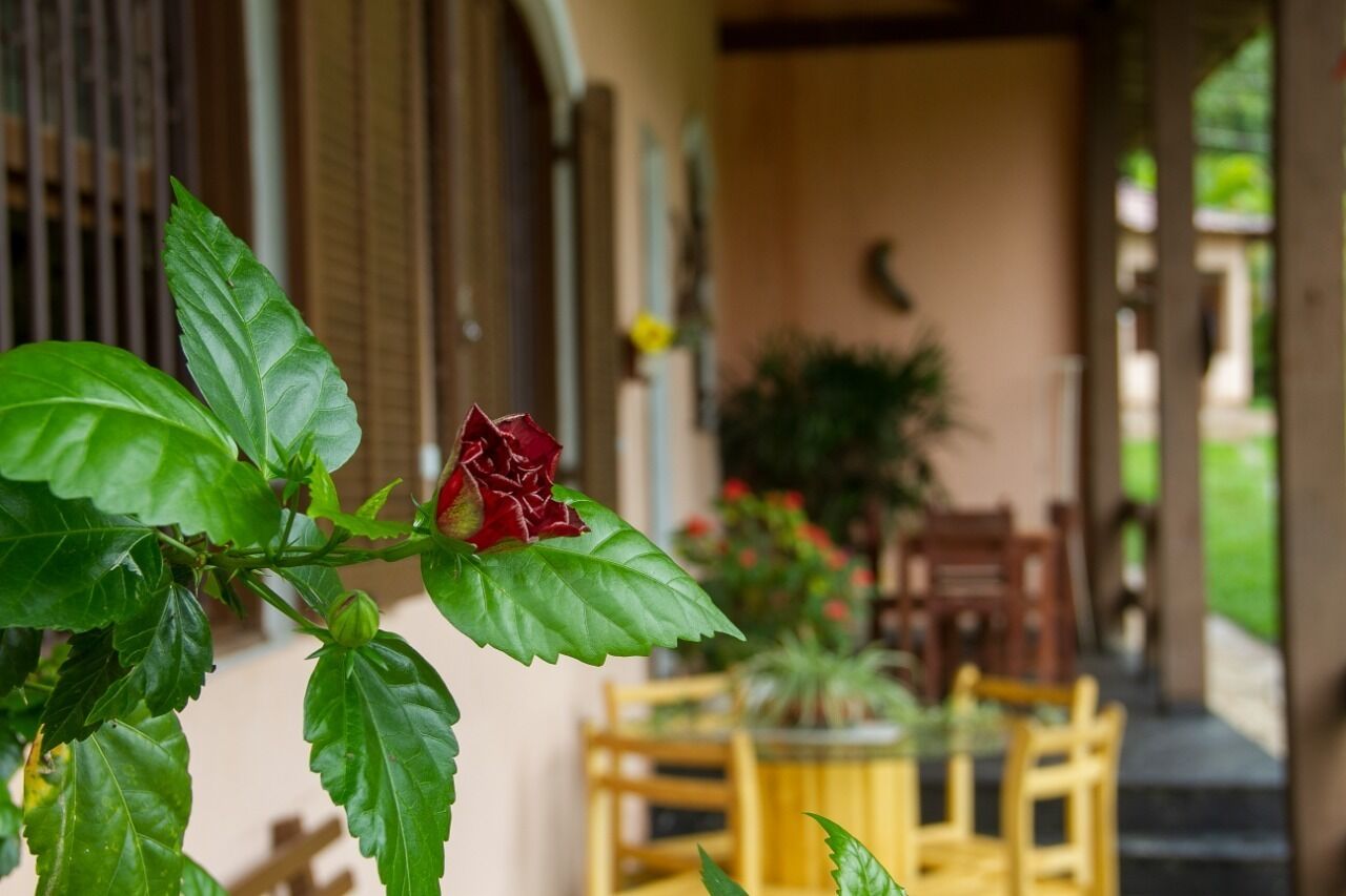 شرفة مسقوفة