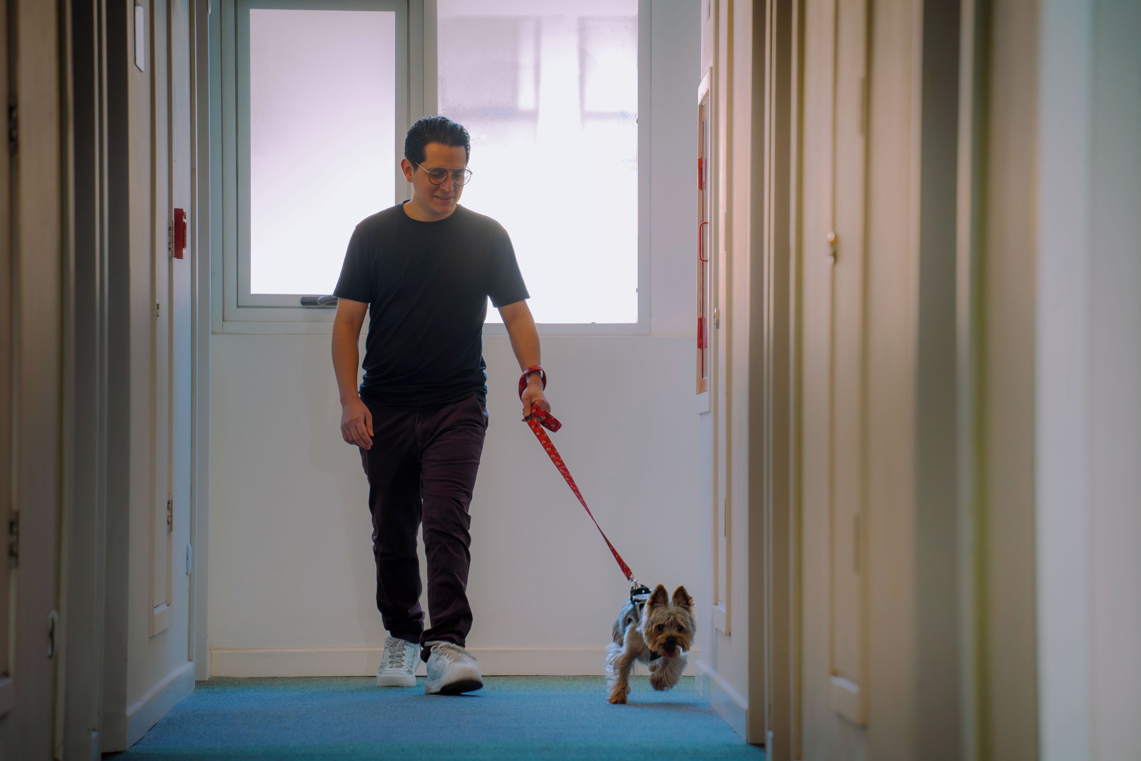 Una persona pasea un perro en un pasillo con una puerta al final.