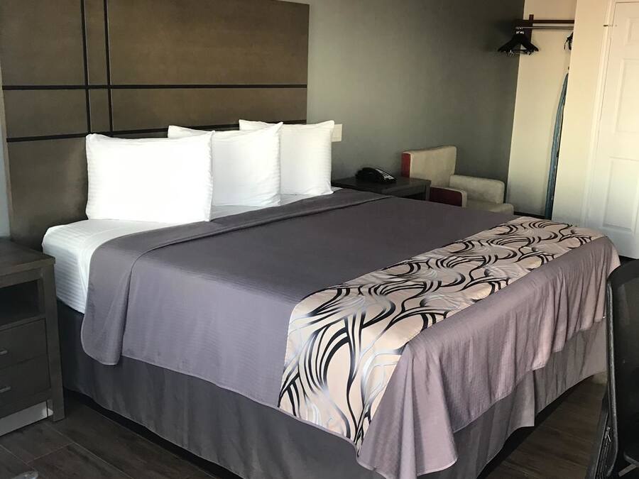 A modern hotel room with a large bed, a bedside table, a chair, and a desk.