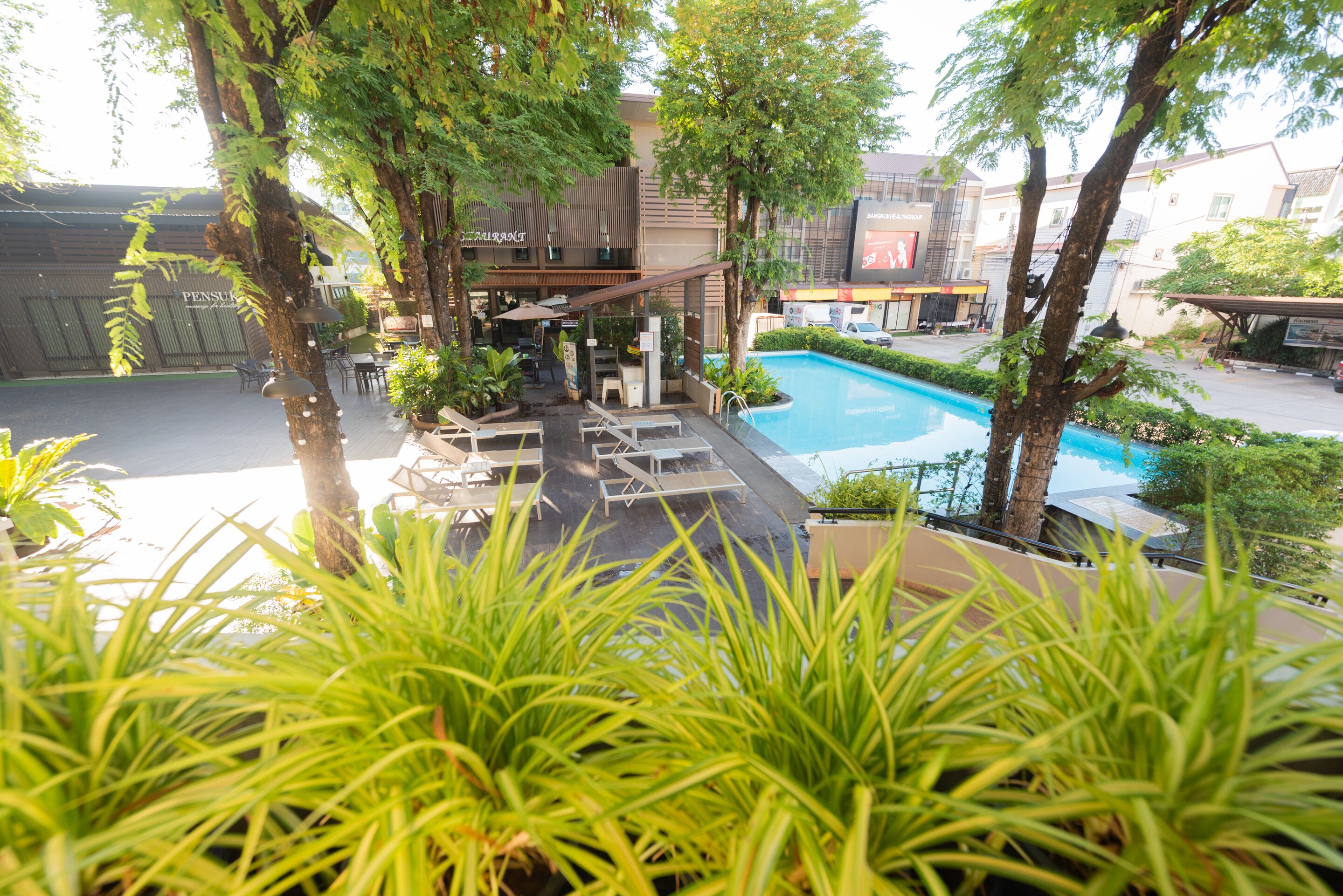 Een dakterras met een zwembad, ligbedden, een bar en een restaurant.