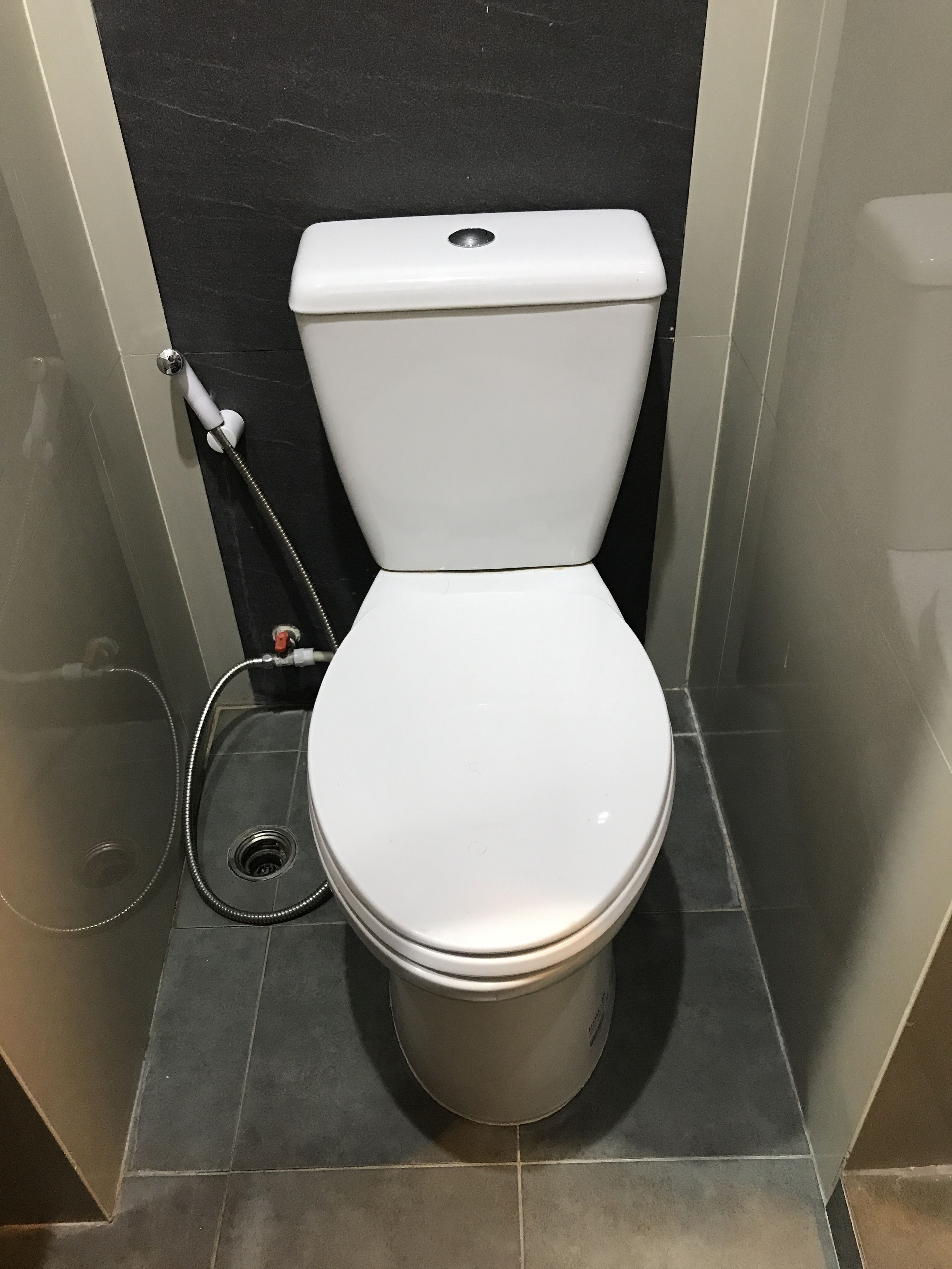 A white toilet with a tank and a bidet attachment in a bathroom with dark tiled walls and floor.