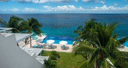 Relaxing Oceanfront 2BR Northshore Condo, Awesome snorkeling right in front!