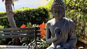 A statue of a seated figure in a meditative pose, surrounded by greenery and a bench.