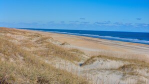 A beach with dunes and ocean.