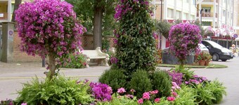 Lido di Spina, Adriatic Riviera holiday villa near the sea