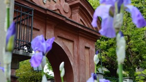 A red archway with a decorative emblem, surrounded by greenery and purple flowers.