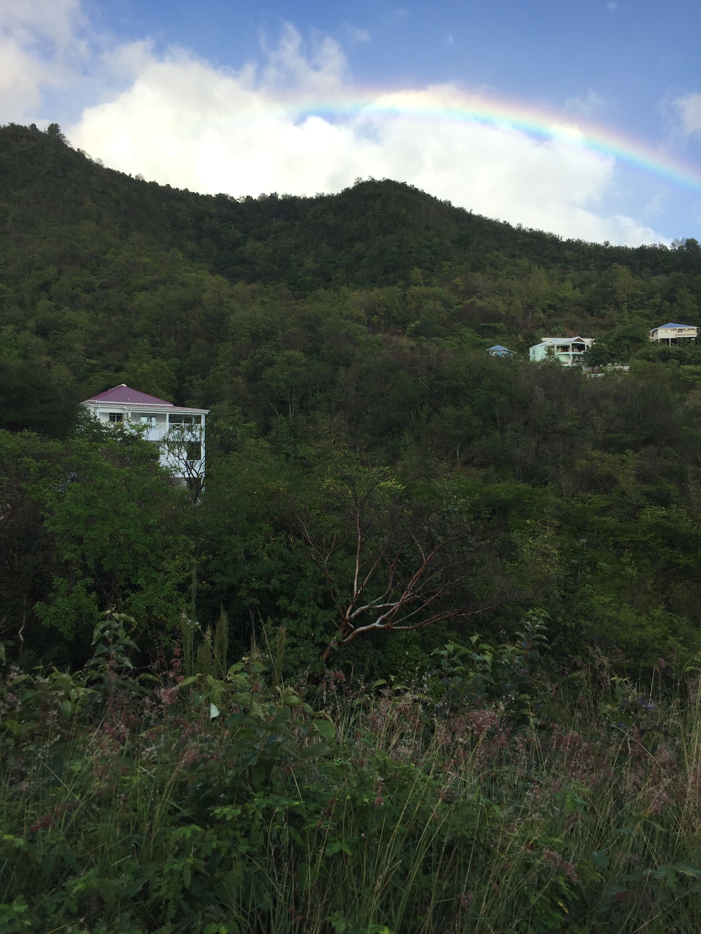 10 Best LongTerm Rentals In Dominica Updated 2024 Trip101