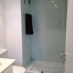 Combined shower/tub, hair dryer, bidet, towels