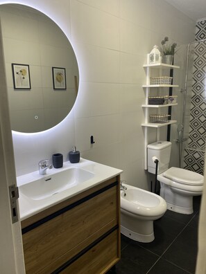 Combined shower/tub, hair dryer, bidet, towels
