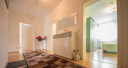 Comfortable apartment in the center of Dresden