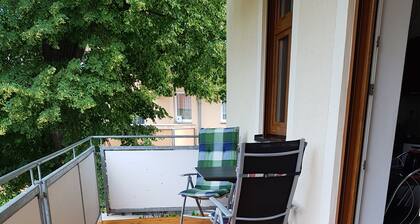 Comfortable apartment in the center of Dresden