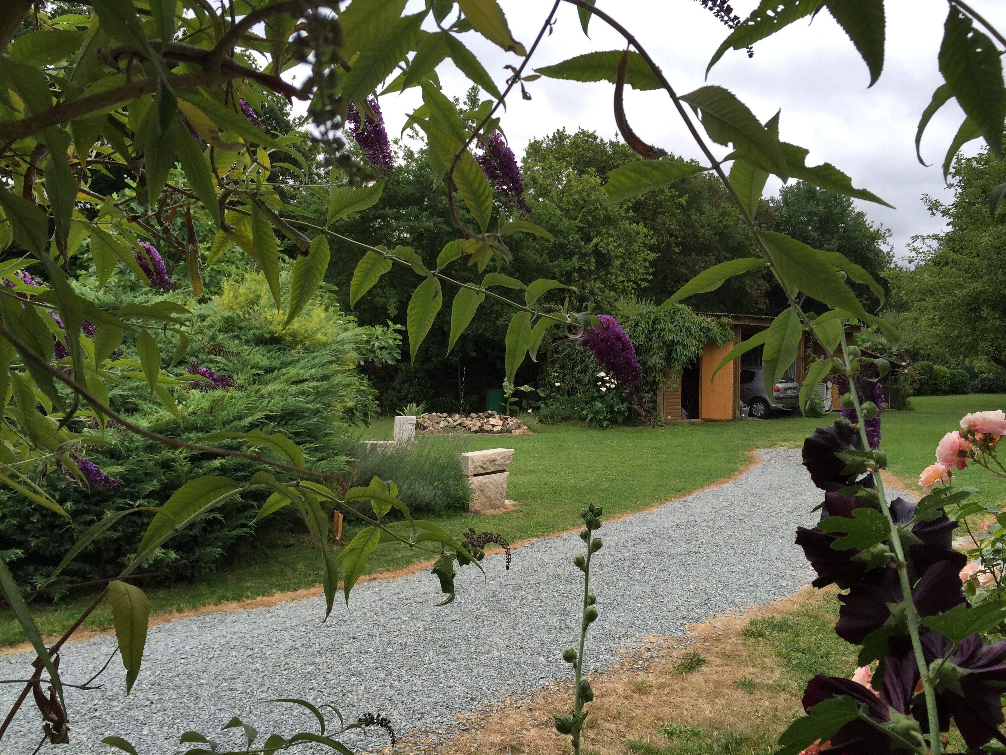 Un chemin de jardin recouvert de gravier, bordé d’une végétation luxuriante et de fleurs violettes.