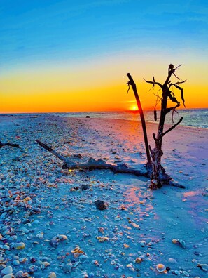 Sun-loungers, beach towels