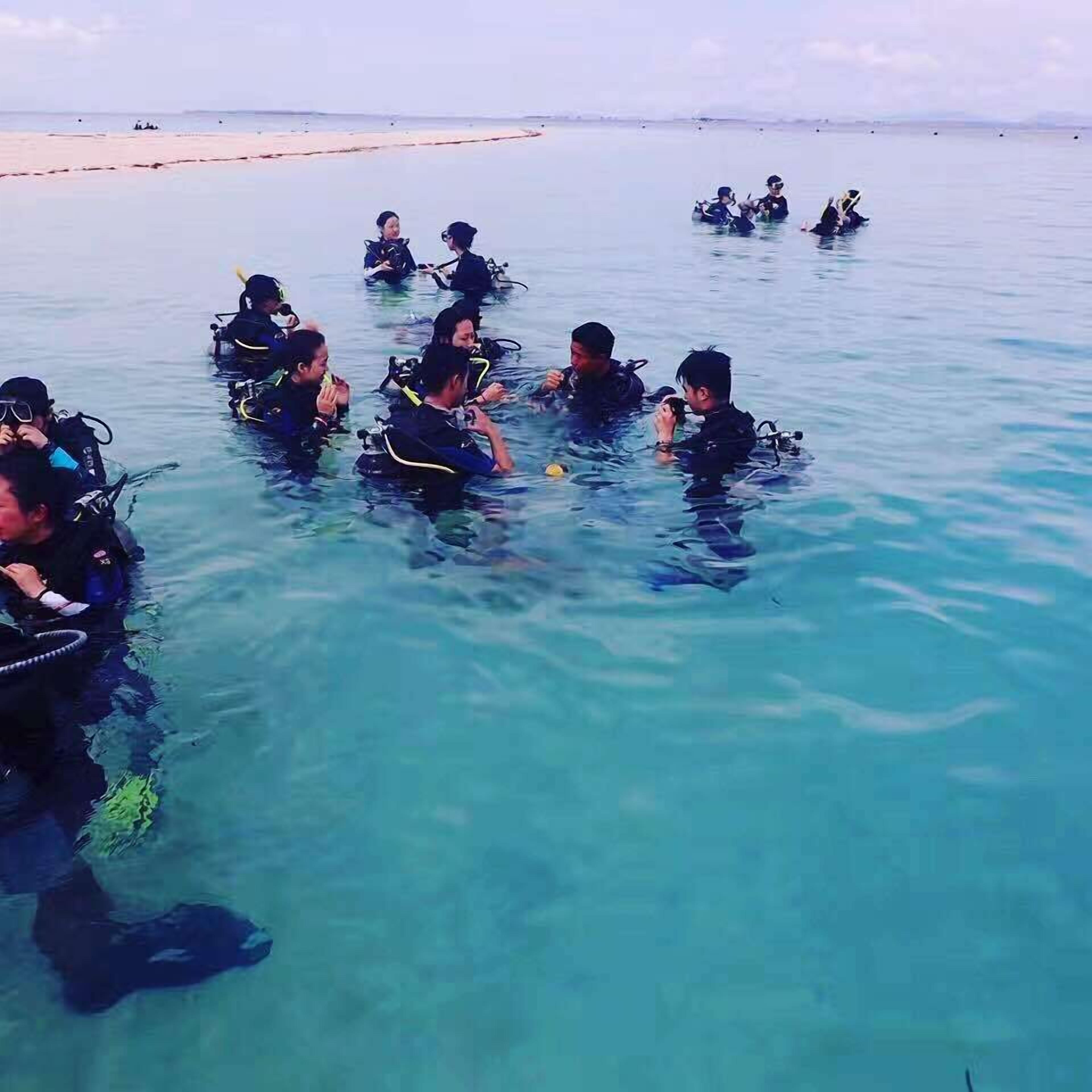 A group of people in a shallow water body, possibly a beach or a lake, wearing scuba diving gear.