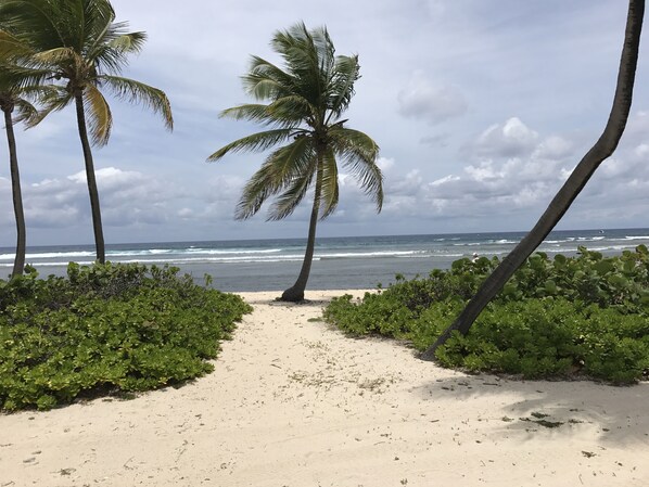 On the beach