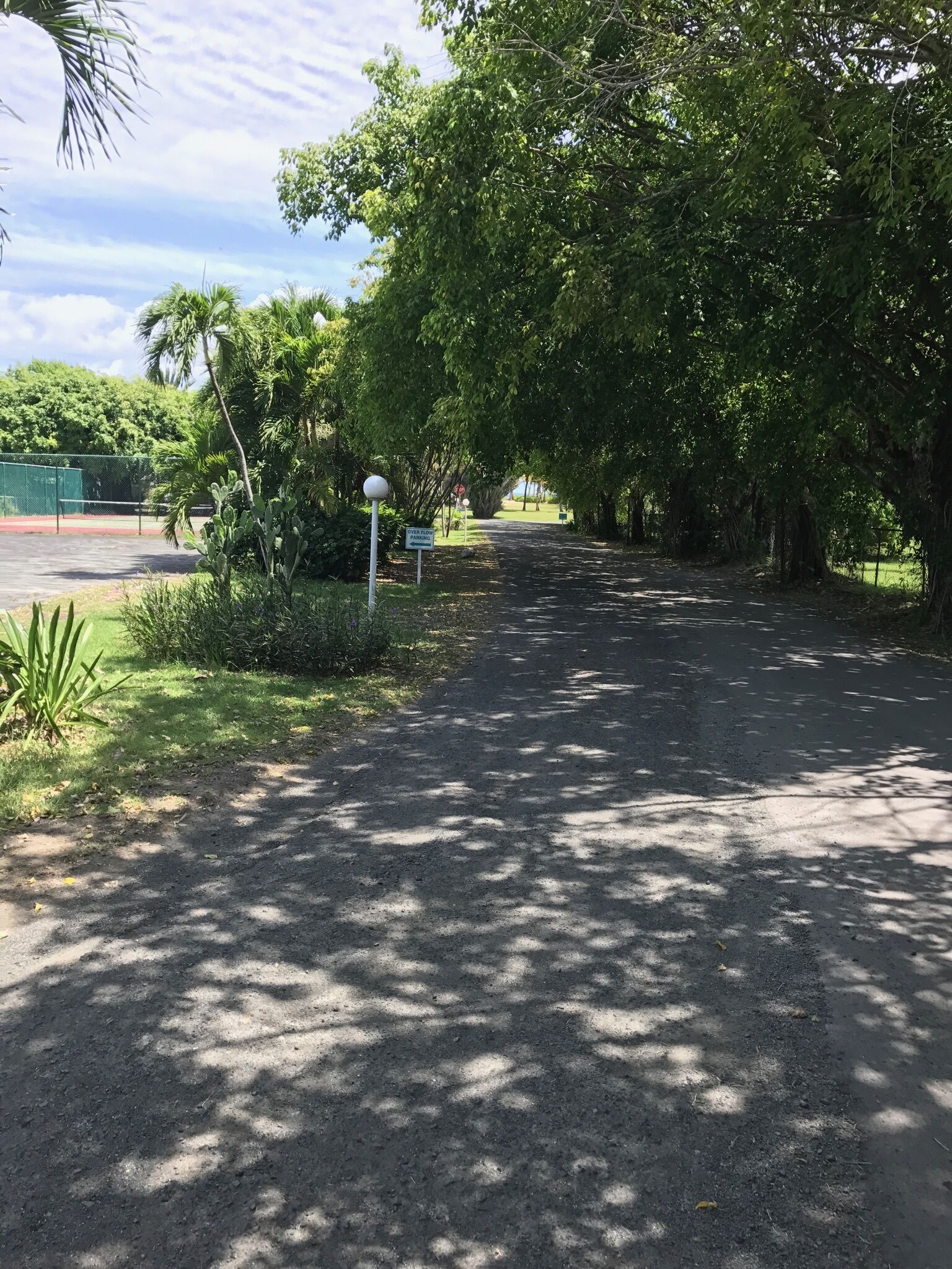 A gravel path lined with trees and a tennis court in the background.