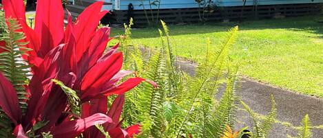 Details aan de buitenkant