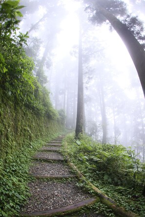 Vue sur les montagnes