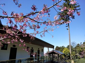 A building with a balcony and a covered area, surrounded by blooming pink trees. - Long Yun Farm (Zhuqi)