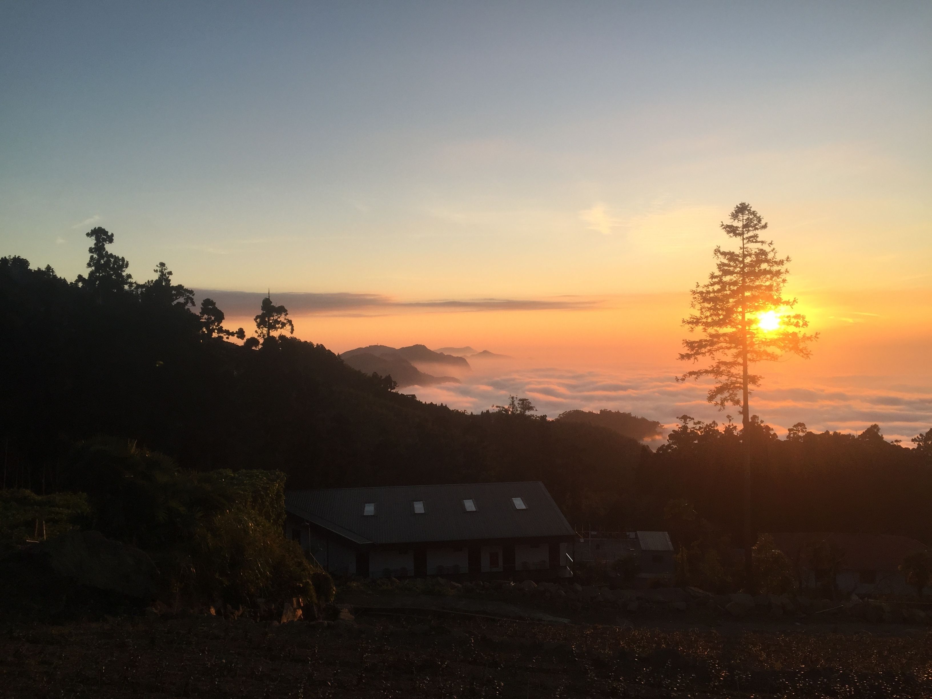 山景