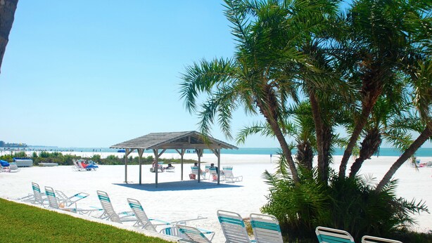 A beachside area with a gazebo, sun loungers, and palm trees. - Great rates for September! SIESTA KEY GULF 2 bed 2 bath condo Jamaica Royale 104 (Sarasota)