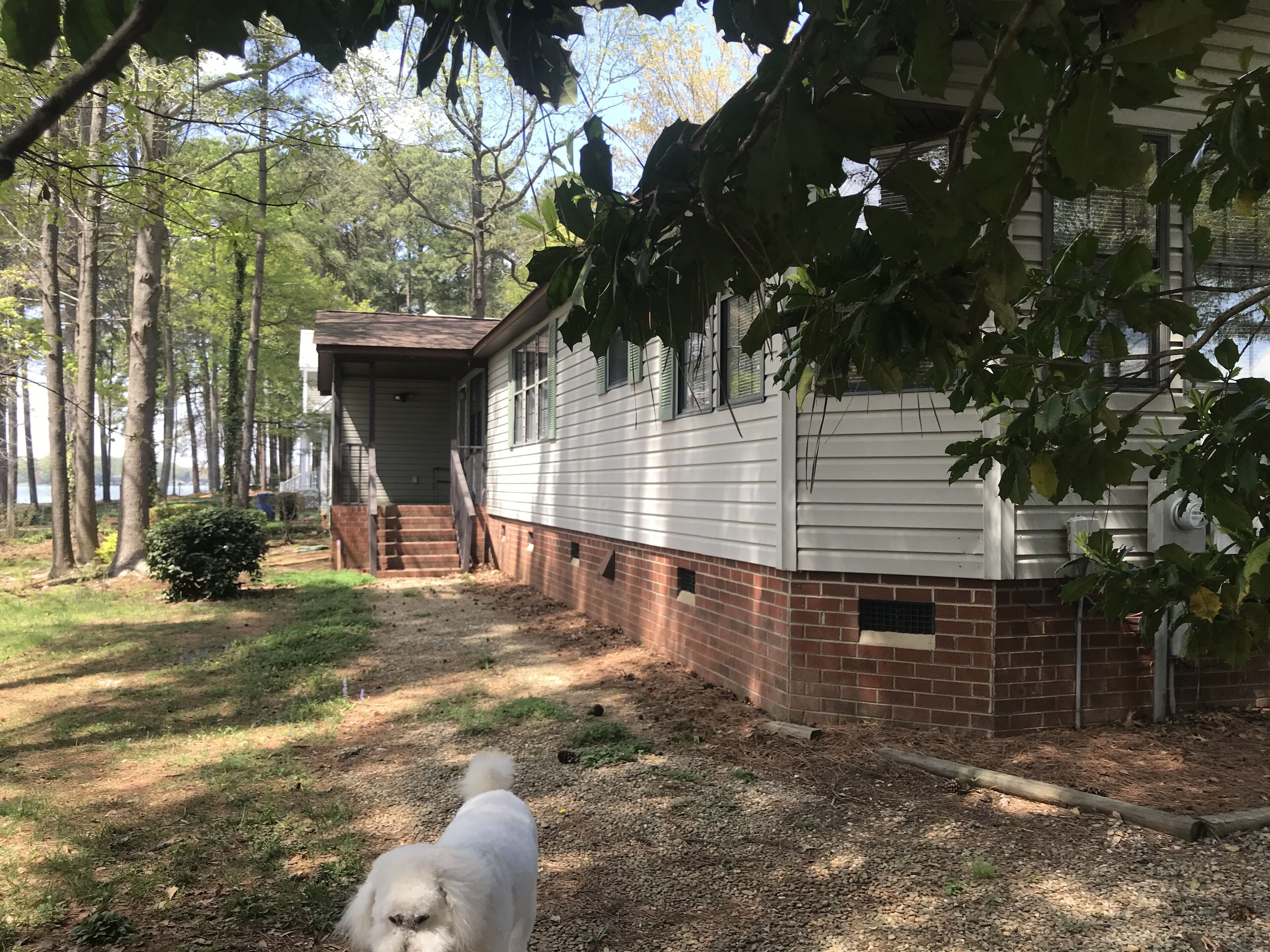 Une maison avec un porche, un petit jardin et un chien au premier plan.