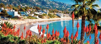Laguna's Hidden Gem Penthouse 2 BEDROOMS, DEN, Oceanview..Quality Beds, 4 guests