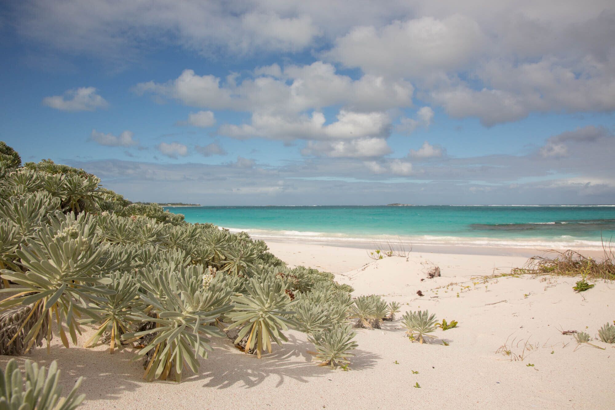 Liegestühle, Strandtücher