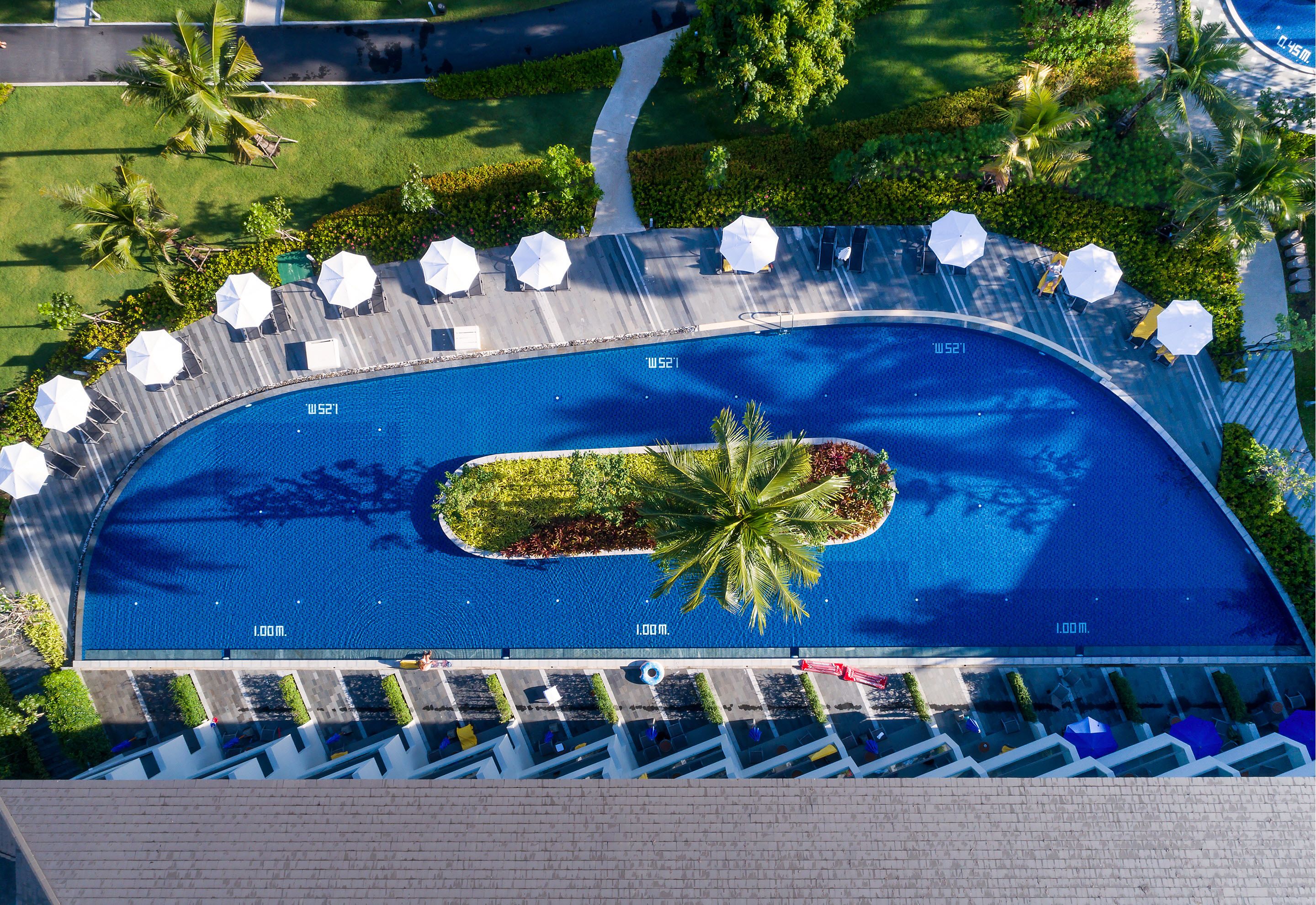 Vista aérea de una piscina en un resort, con una palmera como elemento central, rodeada de sillas de descanso y sombrillas.