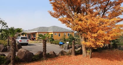 Skyline Pension